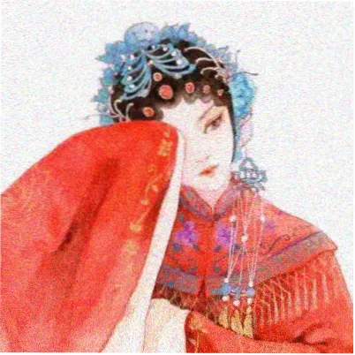 读者林间雨的头像